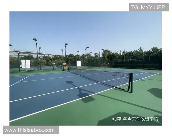 成都网球队包夹战术创新探索与实践分析